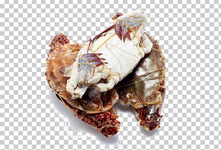 Dungeness Crab Seafood King Crab PNG, Clipart, Animals, Animal Source Foods, Aquatic Animal, Chile, Chinese Poker Free PNG Download