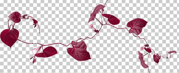Photography PNG, Clipart, Branch, Computer Software, Digital Image, Download, Flower Free PNG Download