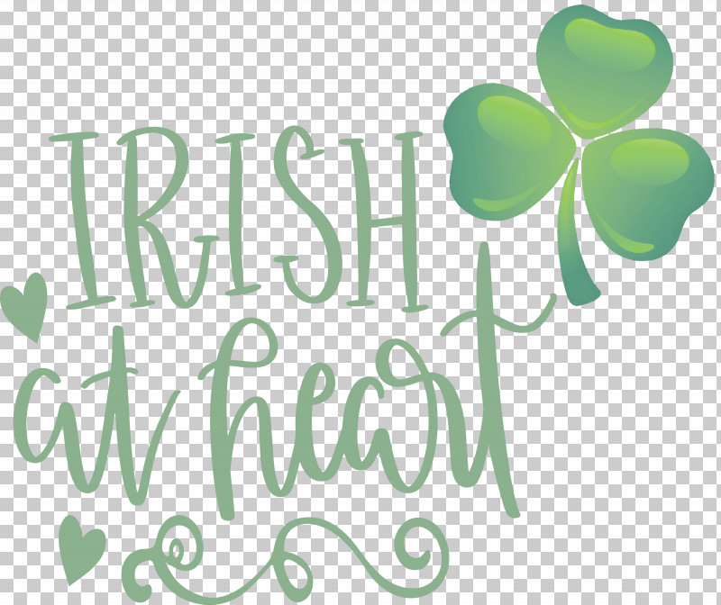 Shamrock Irish Saint Patrick PNG, Clipart, Biology, Green, Irish, Leaf, Logo Free PNG Download