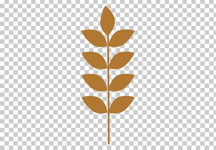 Tree PNG, Clipart, Angle, Birch, Branch, Business Model Canvas, Computer Icons Free PNG Download