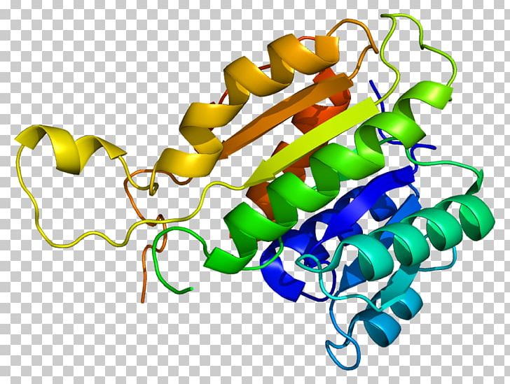 HSD17B10 11β-Hydroxysteroid Dehydrogenase Enzyme 17β-Hydroxysteroid Dehydrogenase Alcohol Dehydrogenase PNG, Clipart, Alcohol Dehydrogenase, Amyloid, Artwork, B 10, Dehydrogenase Free PNG Download