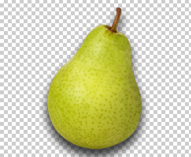 Pear Fruit Watermelon PNG, Clipart, Apple, Asian Pear, Avocado, Cherry, Food Free PNG Download
