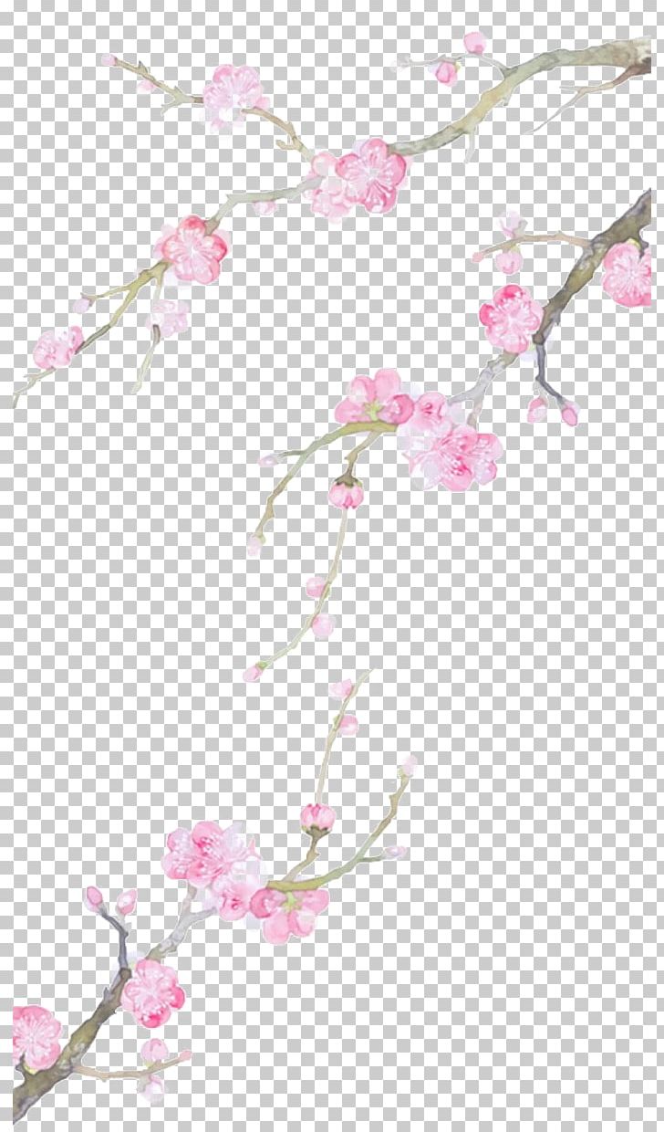 Cartoon Drawing PNG, Clipart, Architecture, Baidu Tieba, Blossom, Branch, Branch Free PNG Download