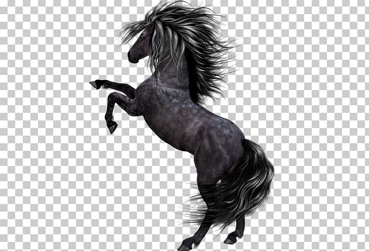 Horse T-shirt PNG, Clipart, Animals, Art, Art Museum, Black, Black And White Free PNG Download