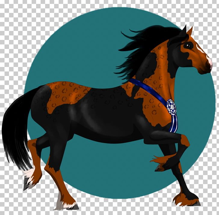 Mane Mustang Stallion Mare Pony PNG, Clipart, Bridle, Halter, Horse, Horse Harness, Horse Harnesses Free PNG Download