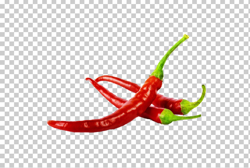 Salsa Peppers Bell Pepper Condiment Red Bell Pepper PNG, Clipart, Bell Pepper, Black Pepper, Condiment, Cooking, Fruit Free PNG Download