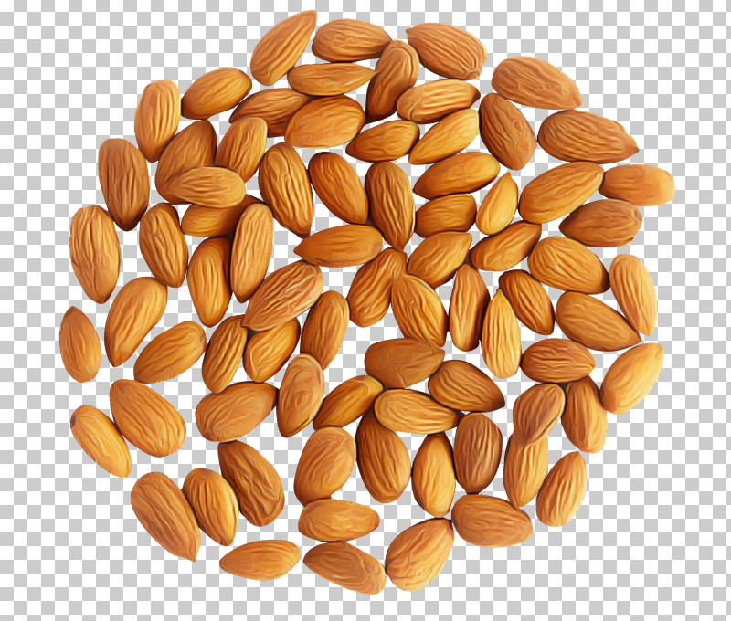 Almond Food Plant Nuts & Seeds Superfood PNG, Clipart, Almond, Apricot Kernel, Food, Ingredient, Nuts Seeds Free PNG Download