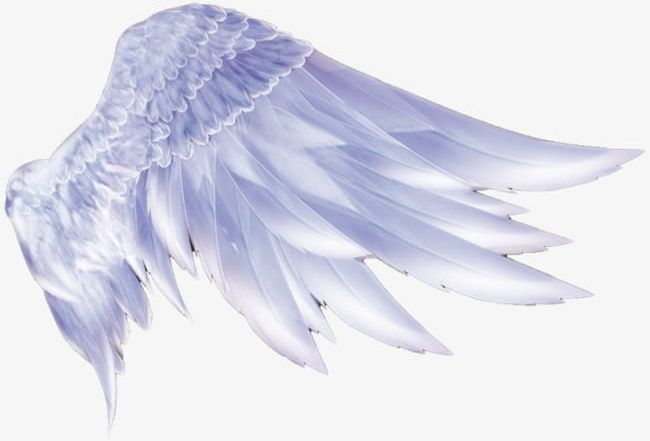 Angel Wings PNG, Clipart, Angel, Angel Clipart, Angel Wings, Decoration, Feather Free PNG Download