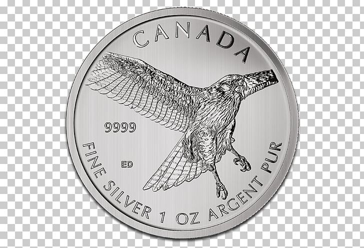 Bird Canada Royal Canadian Mint Silver Coin PNG, Clipart, Bird, Bird Of Prey, Bullion, Canada, Canadian Gold Maple Leaf Free PNG Download