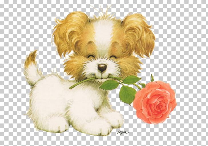 Cavachon Puppy Shih Tzu PNG, Clipart, Animals, Art, Blog, Carnivoran ...