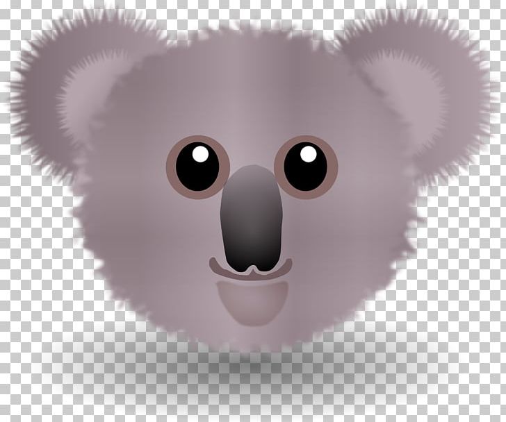 Koala Cartoon PNG, Clipart, Animals, Bear, Carnivoran, Cartoon, Computer Icons Free PNG Download