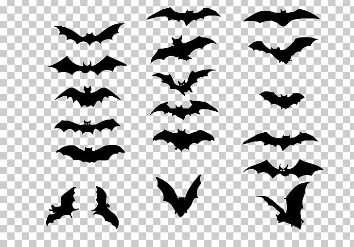 Bat Tattoo Silhouette Drawing PNG, Clipart, Animal Migration, Bat, Beak, Bird, Bird Migration Free PNG Download