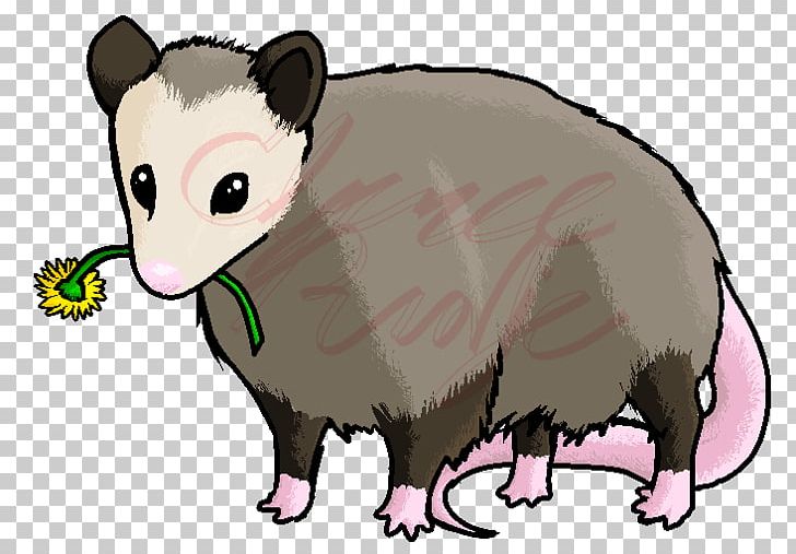 Cat Budgerigar Mouse Opossum PNG, Clipart, Animal, Animal Figure, Animals, Bird, Budgerigar Free PNG Download
