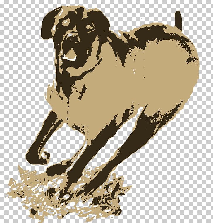 Dog Breed Wheat State Wine Co Pug Common Grape Vine PNG, Clipart, Carnivoran, Common Grape Vine, Dessert Wine, Dog, Dog Breed Free PNG Download