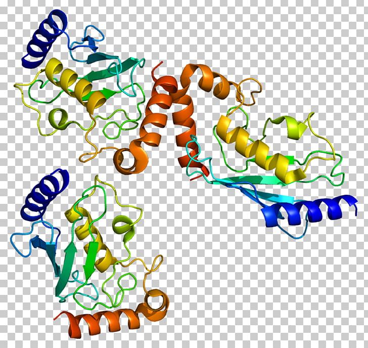Protein ISG15 Anaphase-promoting Complex Ubiquitin-conjugating Enzyme PNG, Clipart, Anaphasepromoting Complex, Area, Artwork, Body Jewelry, Cell Free PNG Download