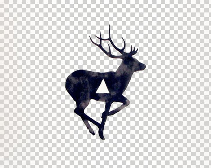 White-tailed Deer T-shirt Tattoo Moose PNG, Clipart, Animal, Animals, Antler, Art, Blackandgray Free PNG Download