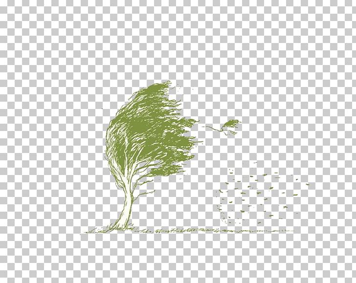 Leaf Branch Wind Tree PNG, Clipart, Ancient Wind, Branch, China Creative Wind, Data, Data Compression Free PNG Download