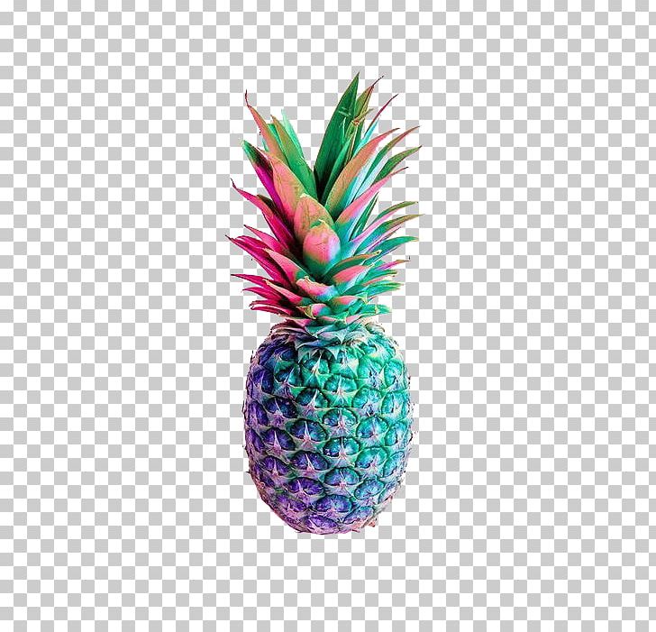 Pineapple Composition Nutritionnelle Des Fruits Desktop Food PNG, Clipart, Ananas, Bromeliaceae, Color, Desktop Wallpaper, Flowering Plant Free PNG Download