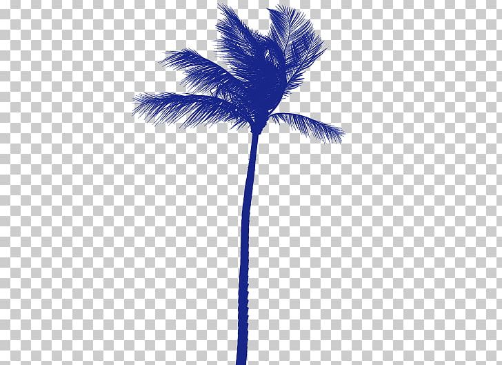 Arecaceae Coconut Tree PNG, Clipart, Arecales, Autumn Tree, Cartoon, Christmas Tree, Coconut Free PNG Download