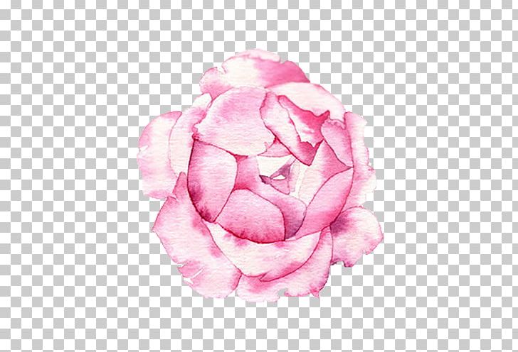 Centifolia Roses Petal Illustration PNG, Clipart, Blog, Centifolia Roses, Change, Creative, Creative Artwork Free PNG Download