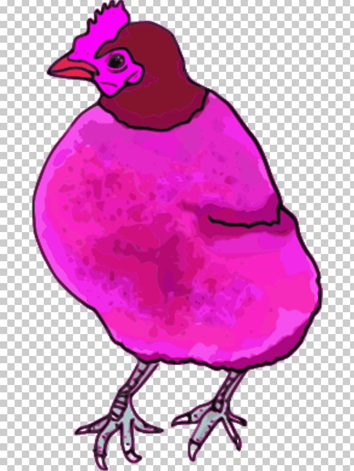 Chicken The Little Red Hen Rooster PNG, Clipart, Artwork, Beak, Bird, Cartoon, Chicken Free PNG Download