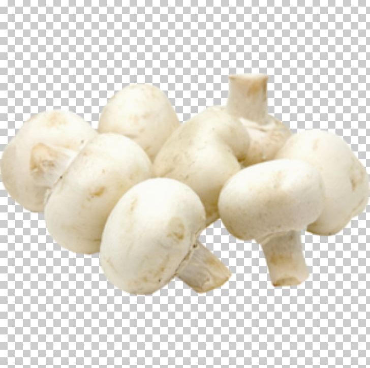 Common Mushroom Shiitake Edible Mushroom Vegetable PNG, Clipart, Agaricaceae, Agaricomycetes, Agaricus, Cauliflower, Champignon Mushroom Free PNG Download