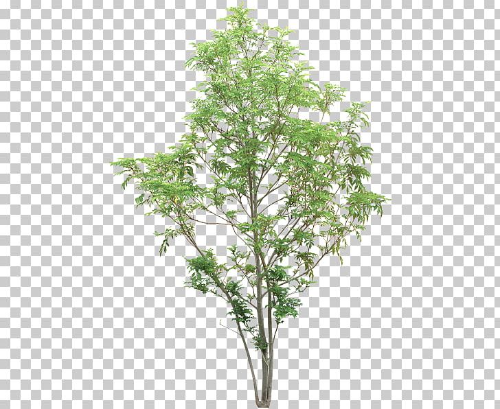 Artificial Christmas Tree Nearly Natural Paradise Palm Areca Palm Walmart PNG, Clipart, Areca Palm, Artificial Christmas Tree, Branch, Christmas Tree, Evergreen Free PNG Download