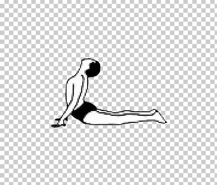 Bhujangasana Yoga Exercise Trikonasana PNG, Clipart, Angle, Arm, Asana, Ballet Dancer, Bird Free PNG Download