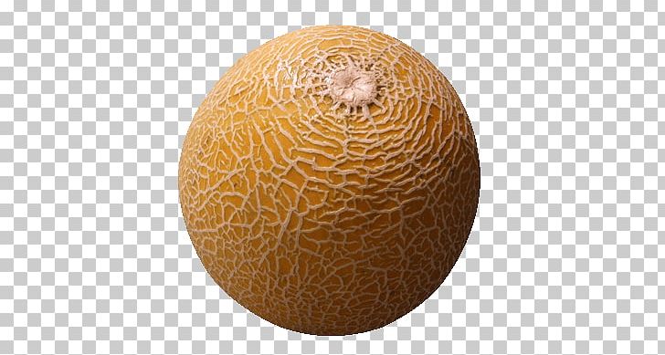 Cantaloupe Alien Fruit: Book 1 Of The Newark Series Honeydew Auglis PNG, Clipart, Alien, Animated Film, Auglis, Berry, Book Free PNG Download