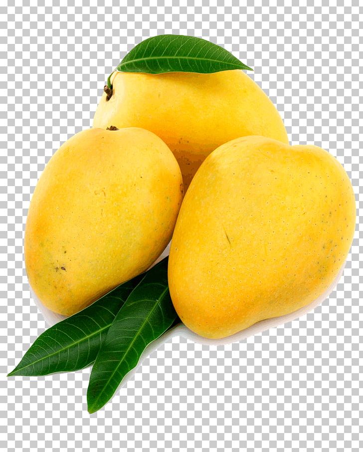 India Juice Nectar Mango Alphonso PNG, Clipart, Alphonso, Alphonso Mango, Benishan, Citron, Citrus Free PNG Download