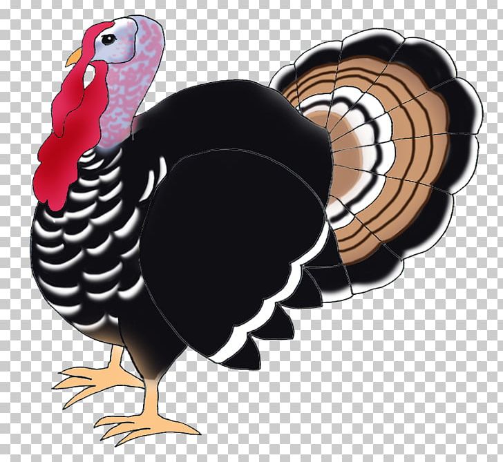 Narragansett Turkey Black Turkey Bird Drawing PNG, Clipart, Animals, Beak, Bird, Black Turkey, Chicken Free PNG Download