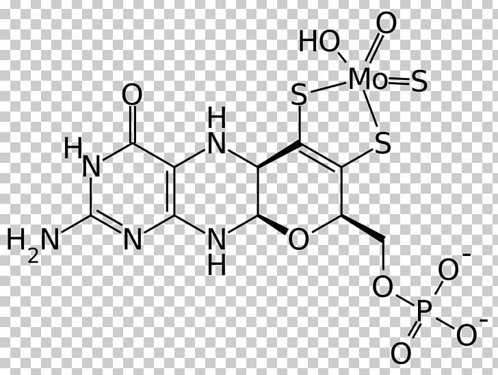 Tyrosine Hydroxylase Chemistry Organic Compound Chemical Compound PNG, Clipart, Angle, Area, Auto Part, Chemistry, Enzyme Free PNG Download