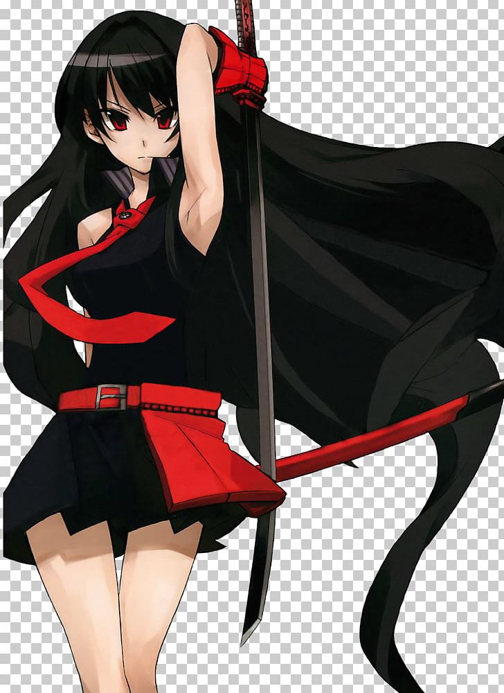 Akame Ga Kill! Comic Book Anime Character PNG, Clipart, Akame Ga Kill, Anime, Black Hair, Book, Brown Hair Free PNG Download