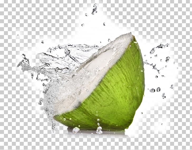 Coconut Water Sports & Energy Drinks Health PNG, Clipart, Chaos, Coconut, Coconut Oil, Coconut Water, Drink Free PNG Download