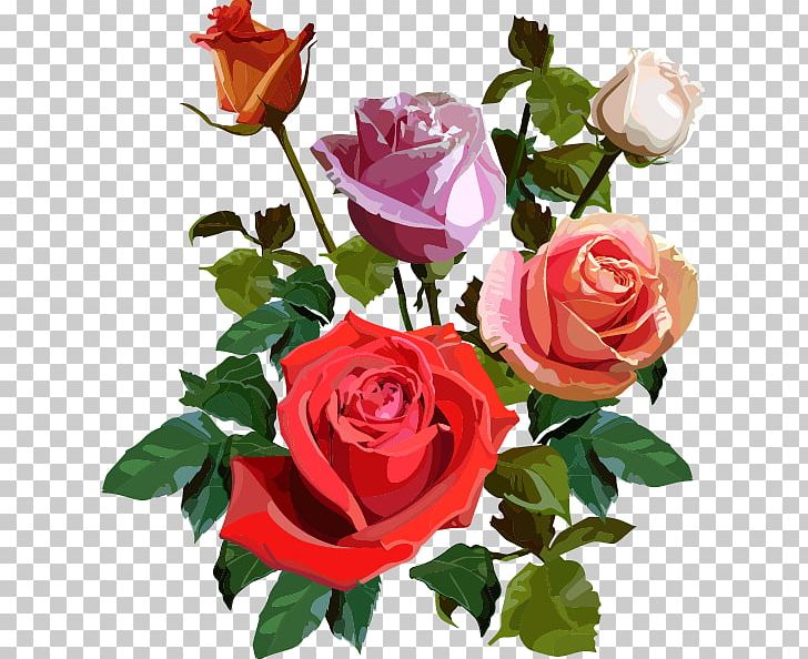 Garden Roses Cabbage Rose Floribunda Cut Flowers PNG, Clipart, Annual Plant, Cut Flowers, Floral Design, Floribunda, Floristry Free PNG Download