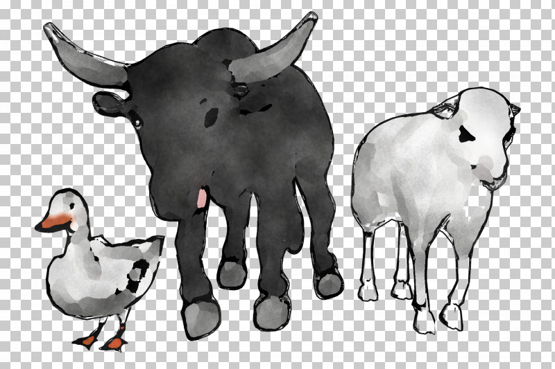 Sheep Zebu Goat Ox Dairy Cattle PNG, Clipart, Bull, Dairy Cattle, Goat, Horn, Meter Free PNG Download