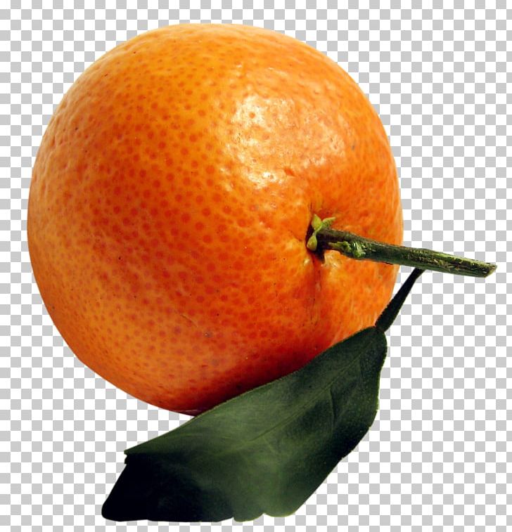 Clementine Tangerine Mandarin Orange Tangelo Rangpur PNG, Clipart, Bitter Orange, Blood Orange, Citric Acid, Citrus, Clementine Free PNG Download