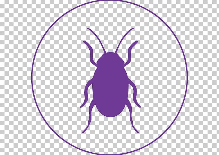 Infestation Building Pest Insect PNG, Clipart, Artwork, Building, Cartoon, Circle, Confusion Free PNG Download