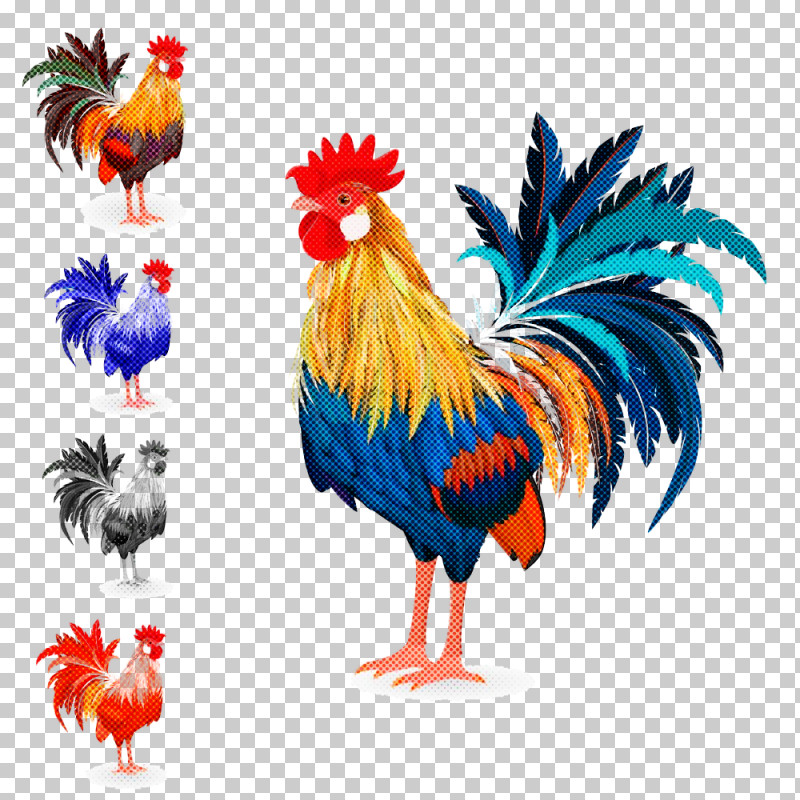 Feather PNG, Clipart, Animal Figure, Beak, Bird, Chicken, Comb Free PNG Download