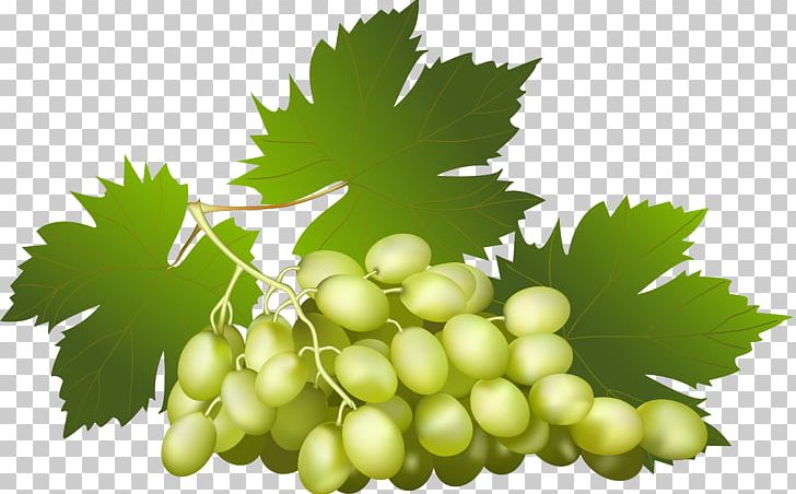 Juice Wine Grape Fruit PNG, Clipart, Berry, Food, Fruit, Fruit Nut, Grape Free PNG Download