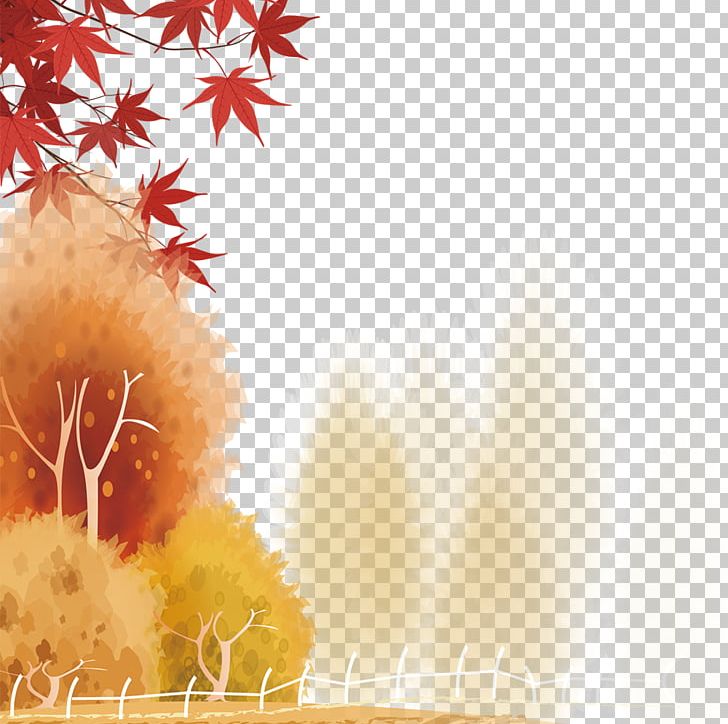 Red Maple Maple Leaf Euclidean PNG, Clipart, Autumn, Autumn Leaves, Beauty, Beauty Salon, Branch Free PNG Download