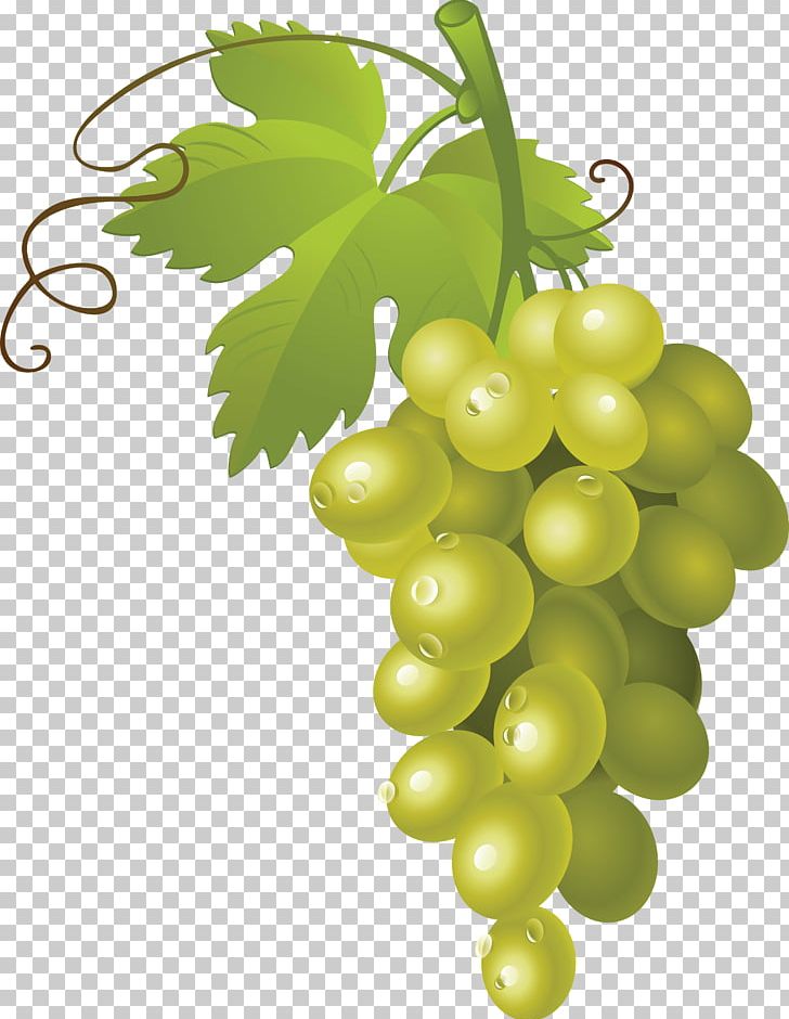 Grape Fruit PNG, Clipart, Flowering Plant, Food, Free, Fruit, Fruits Free PNG Download