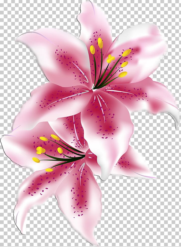 Lilium Cut Flowers PNG, Clipart, Blossom, Cut Flowers, Daylily, Flora, Floristry Free PNG Download