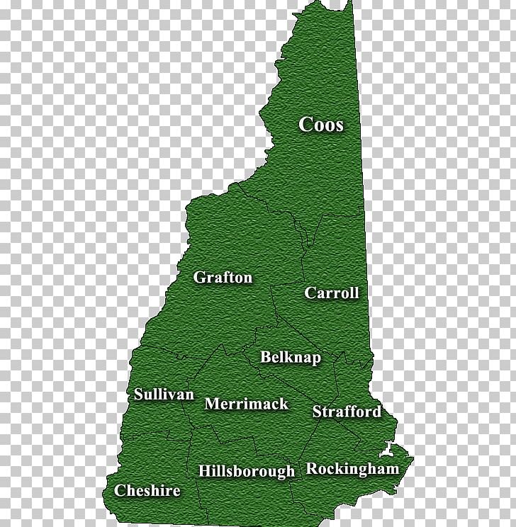 Strafford County PNG, Clipart, Biome, Christmas Tree, County, Grass, Green Free PNG Download