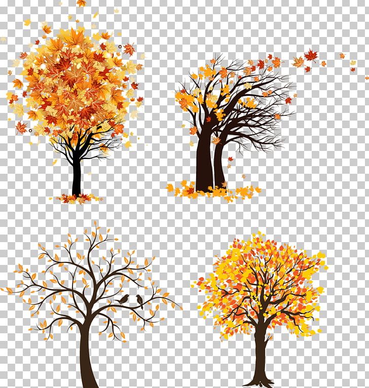 Graphics Tree Autumn Maple PNG, Clipart, Autumn, Autumn Leaf Color, Branch, Computer Wallpaper, Drawing Free PNG Download