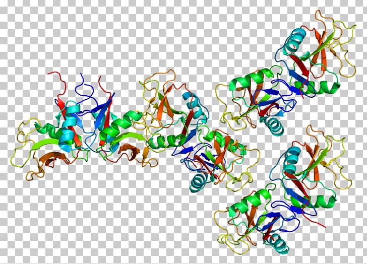 OLR1 Low-density Lipoprotein LDL Receptor Lectin PNG, Clipart, Acute Myocardial Infarction, Art, Arteriosclerosis, Artwork, Ctype Lectin Free PNG Download