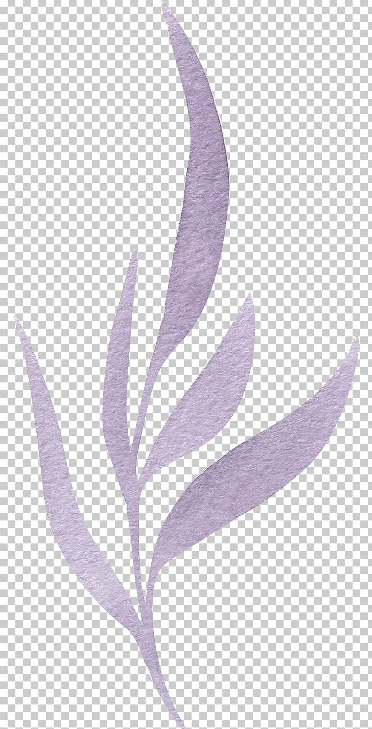 Watercolor Painting PNG, Clipart, Download, Feather, Leaf, Lilac, Miscellaneous Free PNG Download