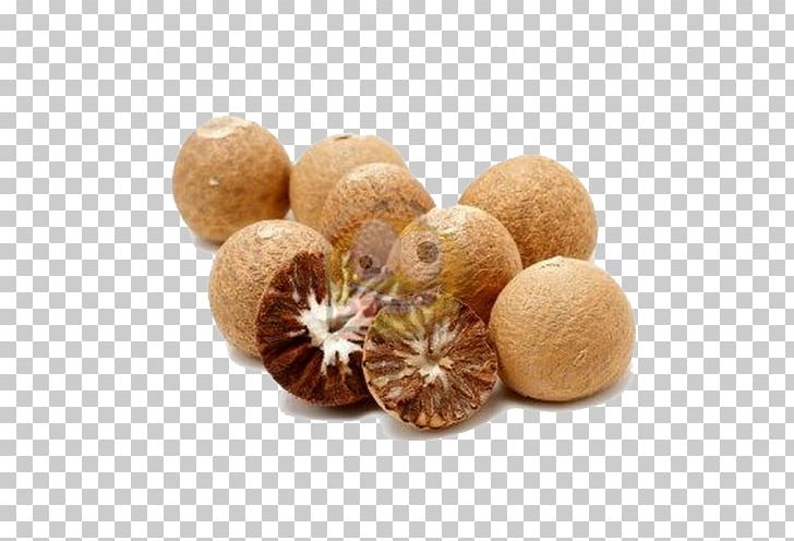 Areca Palm Areca Nut Betel Sirsi PNG, Clipart, Areca Nut, Areca Palm, Betel, Black Pepper, Catechu Free PNG Download