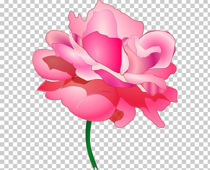Rose PNG, Clipart, Art, Blue Rose, Cut Flowers, Cyclamen, Download Free PNG Download