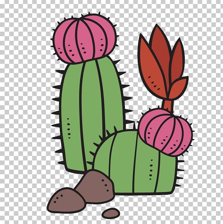 Succulent Plant Cartoon Cactaceae PNG, Clipart, Animation, Art, Cactus,  Cartoon Meaty Plants, Disocactus Free PNG Download